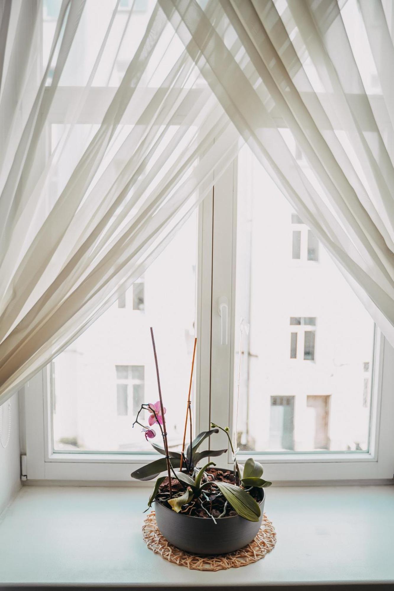 Family Apartment In Riga Center And Free Parking Екстер'єр фото